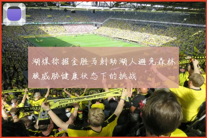 湖媒称掘金胜马刺助湖人避免森林狼威胁健康状态下的挑战